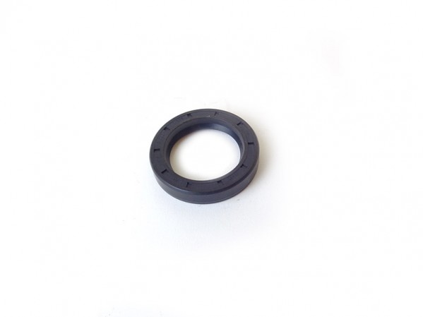 Oil Seal Pinion - BN1